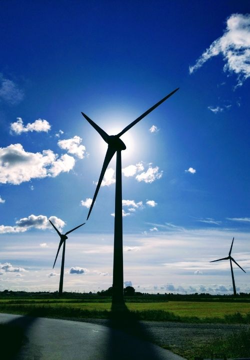Protección medio ambiente